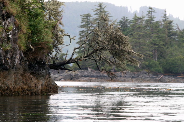Reisebericht Tauchen British Columbia 2011