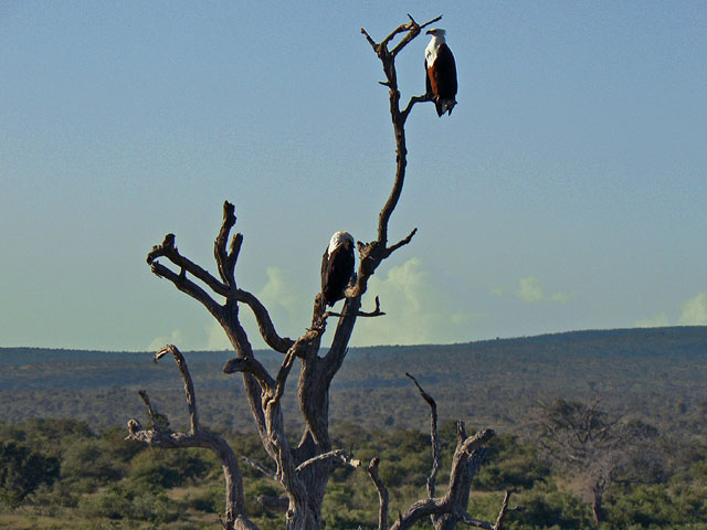 Reisebericht Mosambik mit Krüger-Nationalpark