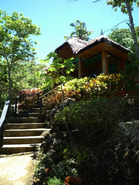 Reisebericht Tauchen Bohol Philippinen 2010
