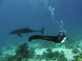 Meeresbiologie Hurghada
