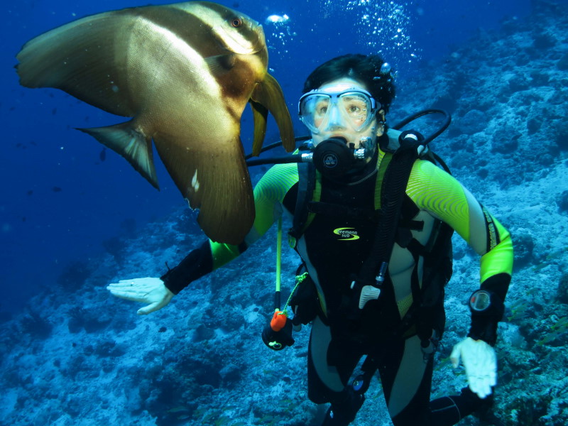 Reisebericht Tauchen Biyadhoo Malediven 2012, Fledermausfisch