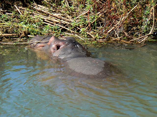 Reisebericht Mosambik mit Krüger-Nationalpark