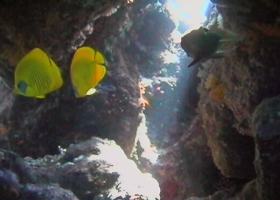 Cave