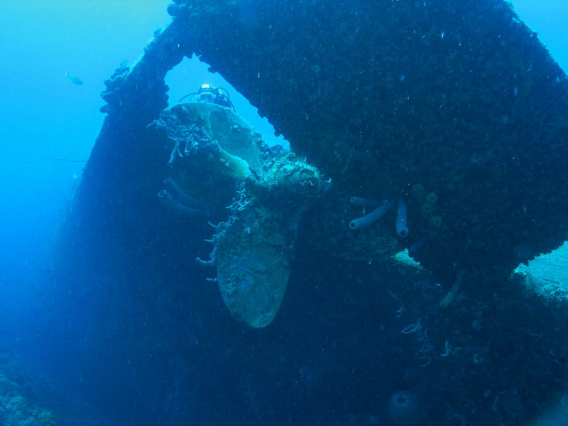 Reisebericht Tauchen Curacao und Bonaire 2009
