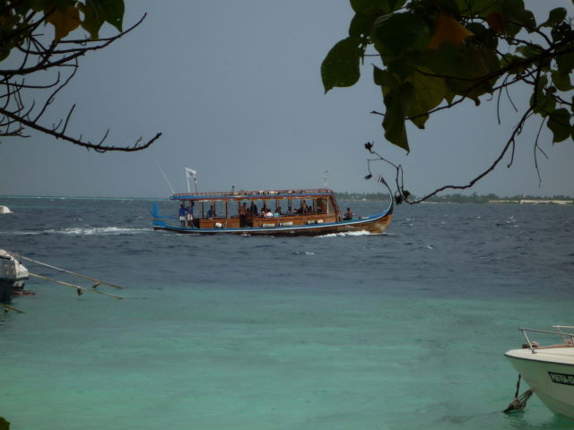 Reisebericht Tauchen Biyadhoo Malediven 2011