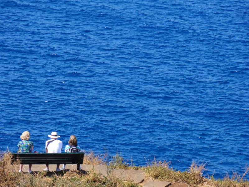 Madeira Canico de Baixo