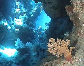 Grotte