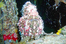 image012.jpg (20768 Byte)