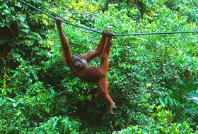 image020.jpg (22700 Byte)