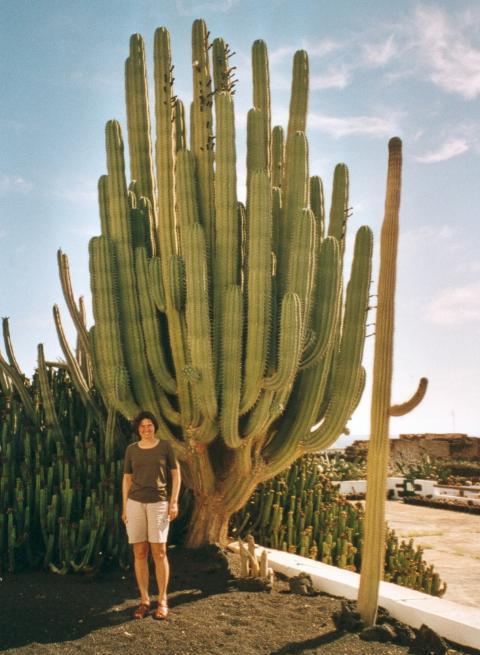 Reisebericht Lanzarote 2003