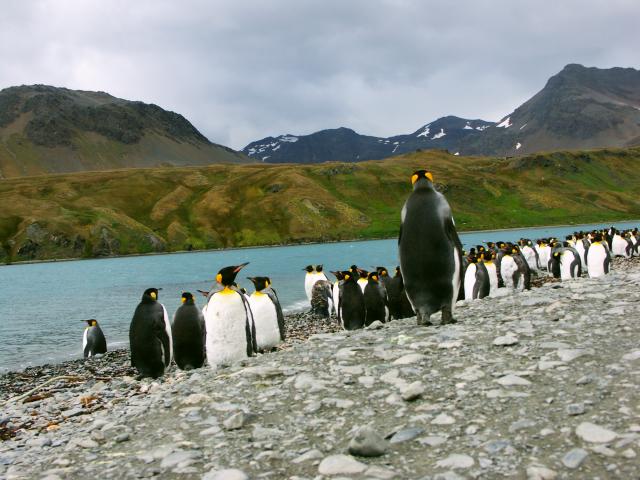 Expedition Antarktis auf der Polarstern