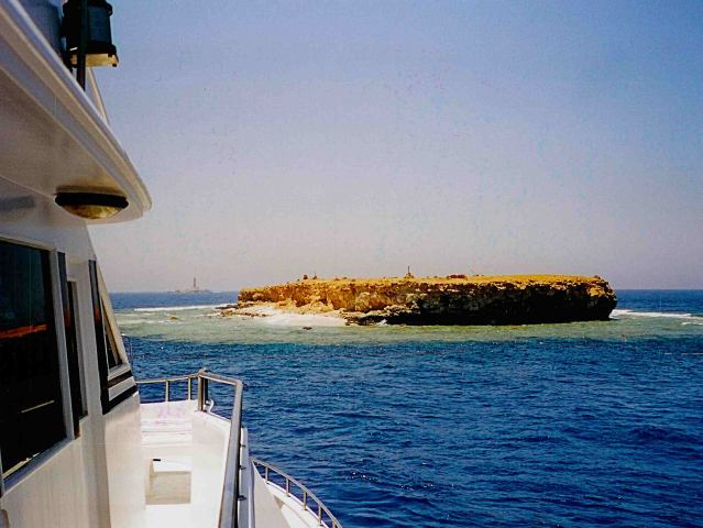 Reisebericht Tauchsafari Brother Islands 2004