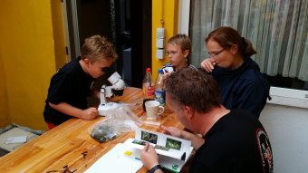 Makrophyten Bestimmung