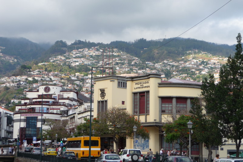 Whale Watching Madeira, Funchal