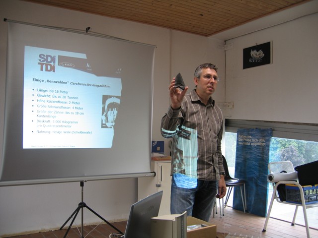 Shark Awareness, Harald Meisner
