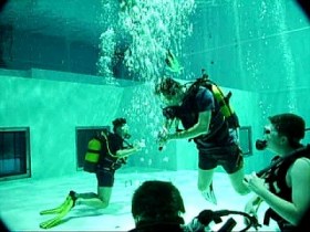 Nemo 33
