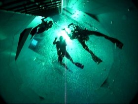 Nemo 33