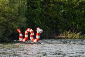 nessie5.jpg (14987 Byte)