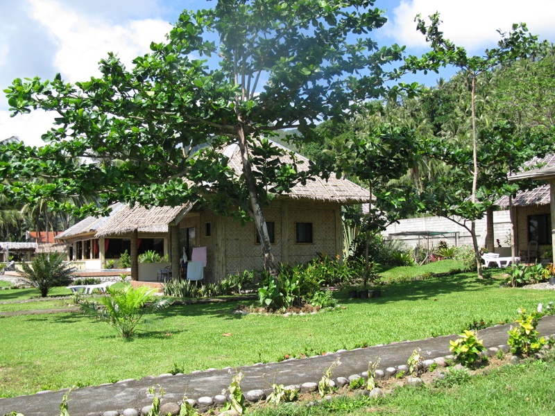 Reisebericht Tauchen Pintuyan Dive Resort Leyte/Philippinen