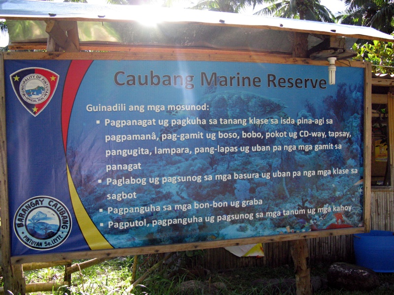 Reisebericht Tauchen Pintuyan Dive Resort Leyte/Philippinen