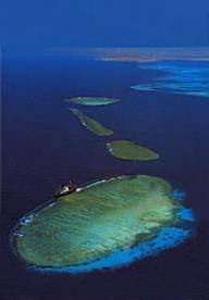 Tiran
