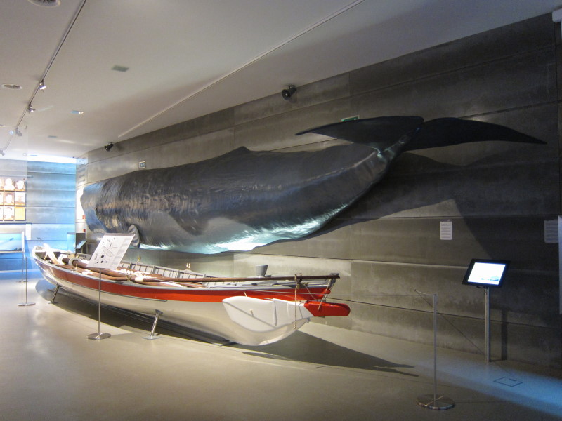 Whale Watching Madeira, Walmuseum