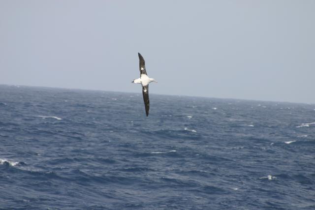 Expedition Antarktis auf der Polarstern