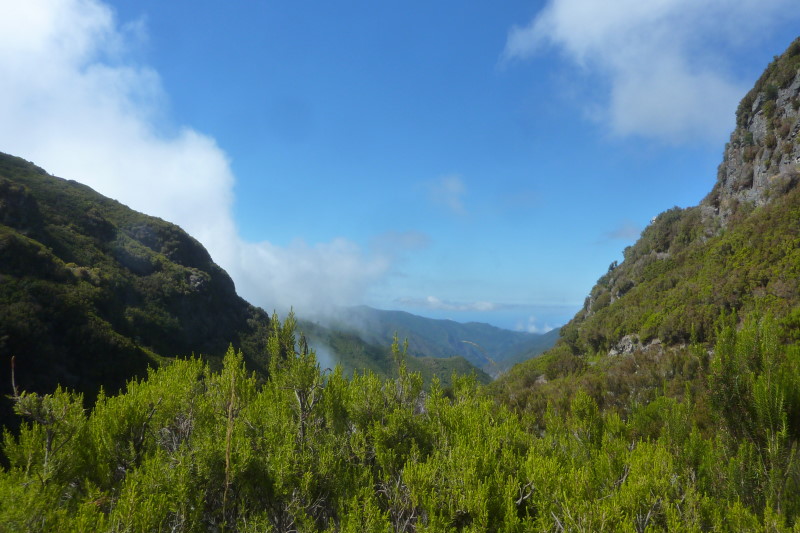 Whale Watching Madeira, Wandern