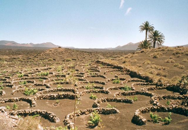 Reisebericht Lanzarote 2003