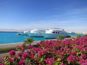 Soma Bay 2012