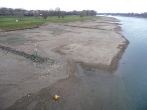 Junges Plastik & alte Scherben beim Rhein Niedrigwasser Beach Cleanup
